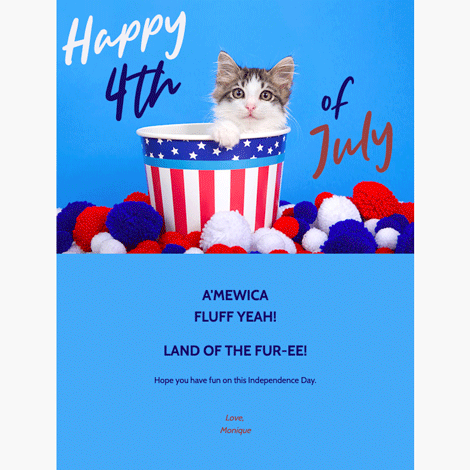 4th of July Cat